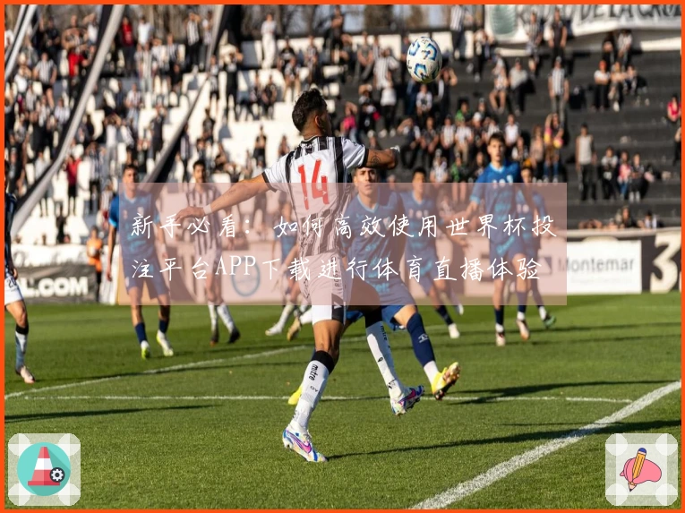 新手必看：如何高效使用世界杯投注平台APP下载进行体育直播体验