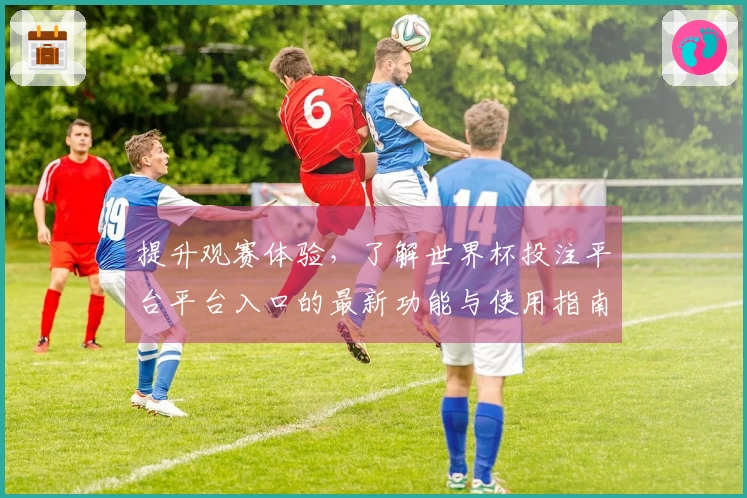 提升观赛体验,了解世界杯投注平台平台入口的最新功能与使用指南
