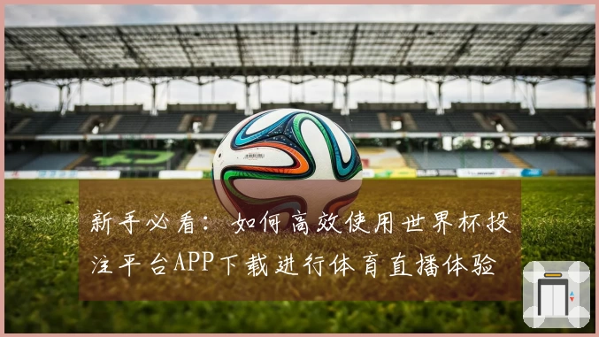 新手必看：如何高效使用世界杯投注平台APP下载进行体育直播体验