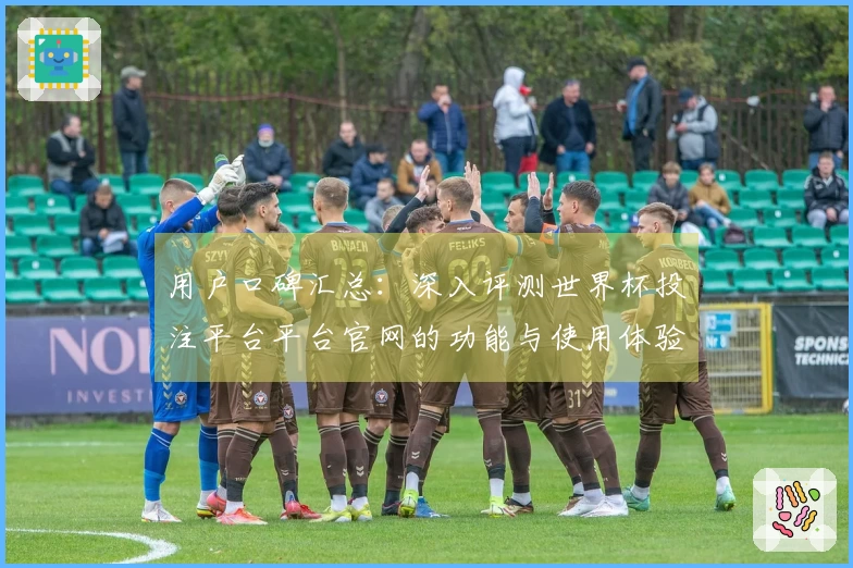 用户口碑汇总：深入评测世界杯投注平台平台官网的功能与使用体验