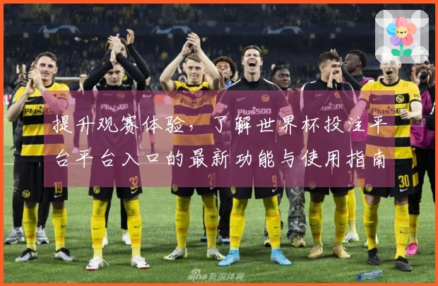 提升观赛体验，了解世界杯投注平台平台入口的最新功能与使用指南